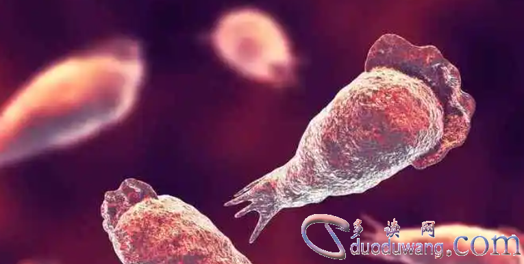 1717595927935393.png image.png