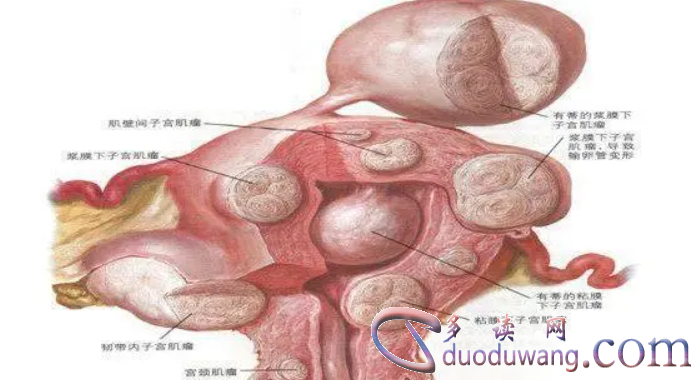 1717634241674363.png image.png