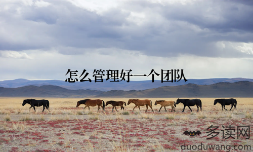 怎么管理好一个团队
