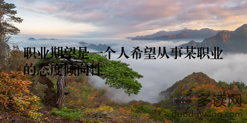 职业期望是一个人希望从事某职业的态度倾向性