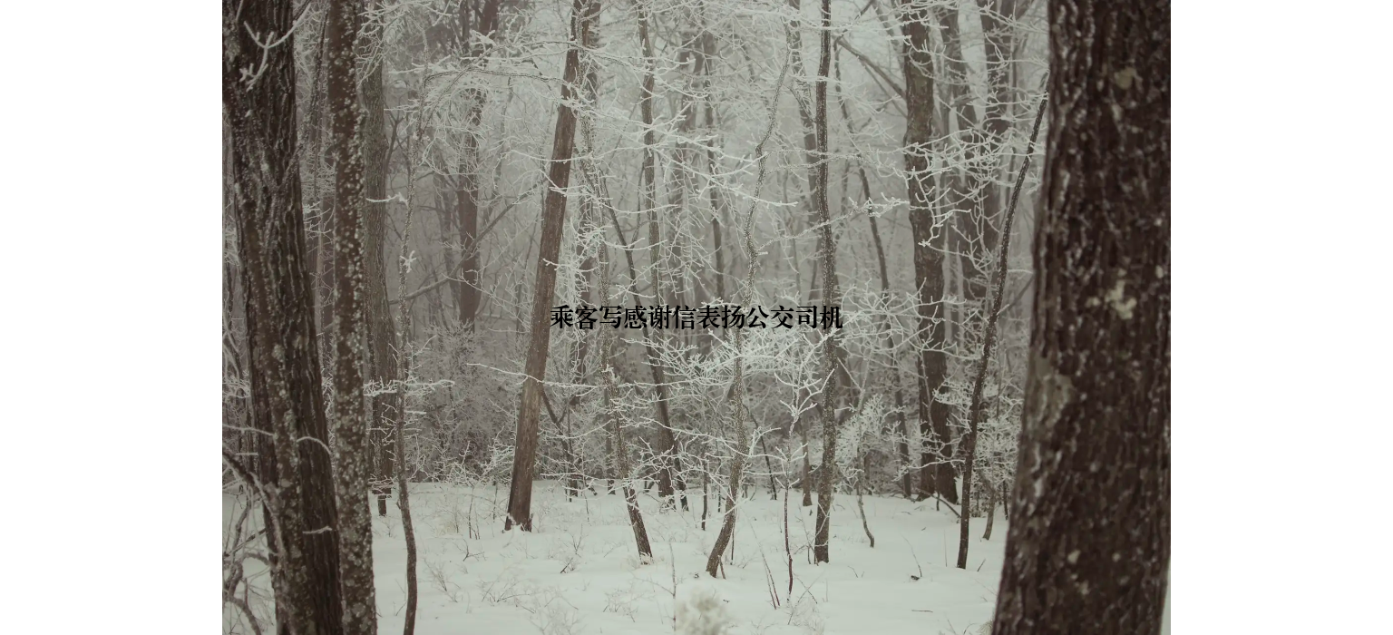 乘客写感谢信表扬公交司机