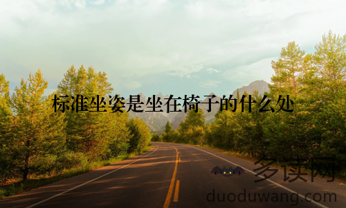 标准坐姿是坐在椅子的什么处