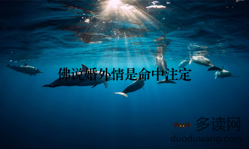 佛说婚外情是命中注定