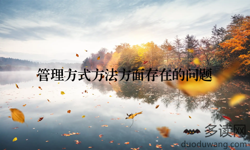 管理方式方法方面存在的问题