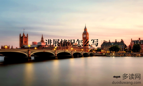 进展情况怎么写