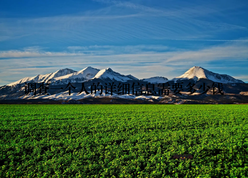 调查一个人的详细信息需要多少钱