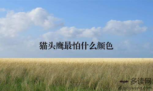 猫头鹰最怕什么颜色