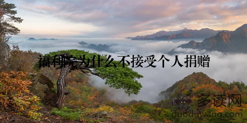 福利院为什么不接受个人捐赠