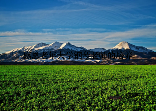 感恩老年大学钢琴老师的培养