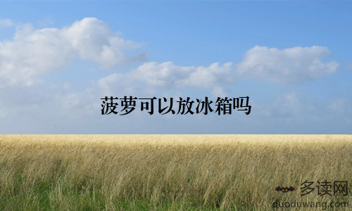 菠萝可以放冰箱吗