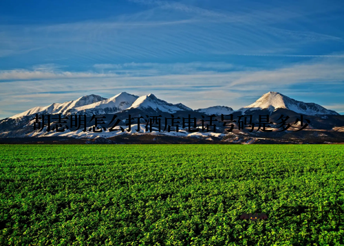 胡志明怎么打酒店电话号码是多少