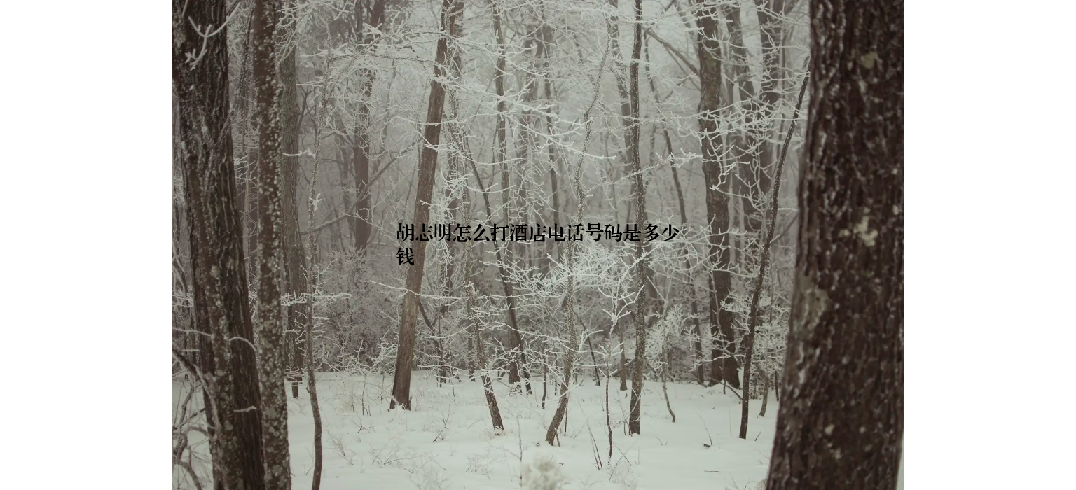 胡志明怎么打酒店电话号码是多少钱