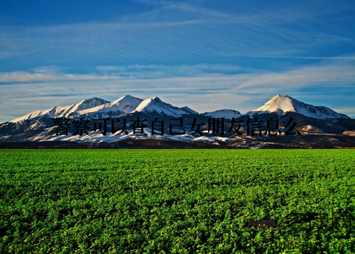 警察可以查自己女朋友信息么