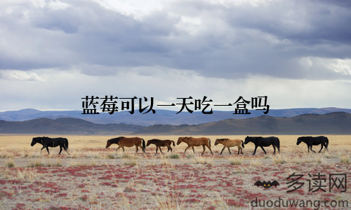 蓝莓可以一天吃一盒吗
