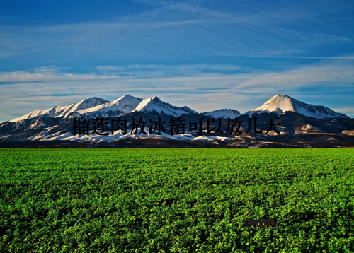 榴莲肉放冰箱可以放几天