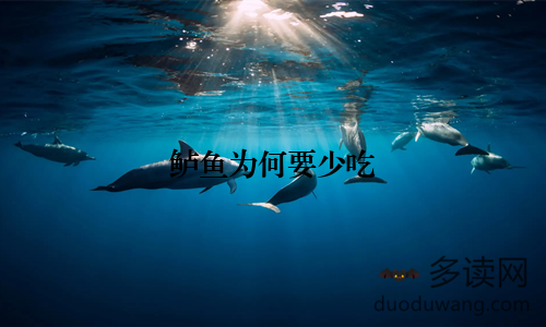 鲈鱼为何要少吃