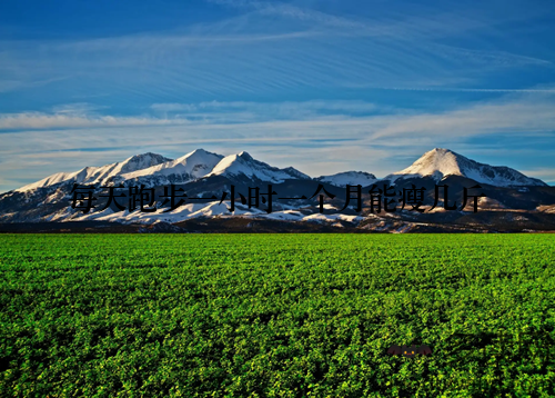 每天跑步一小时一个月能瘦几斤