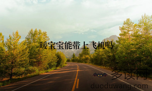 暖宝宝能带上飞机吗