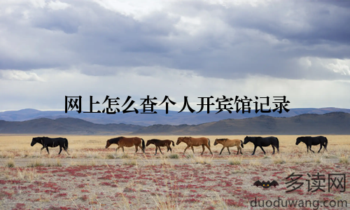 网上怎么查个人开宾馆记录