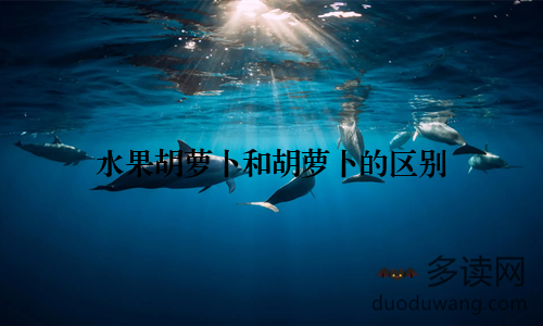 水果胡萝卜和胡萝卜的区别