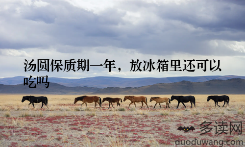 汤圆保质期一年，放冰箱里还可以吃吗