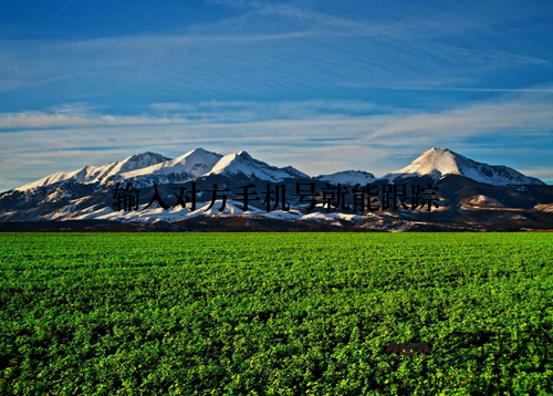 输入对方手机号就能跟踪