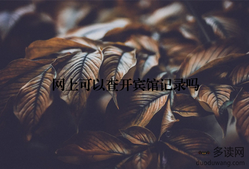 网上可以查开宾馆记录吗
