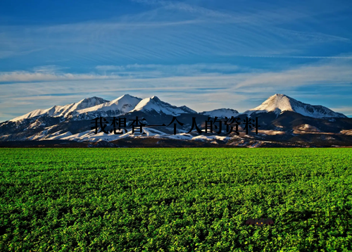 我想查一个人的资料