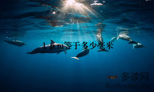 1 μm等于多少毫米