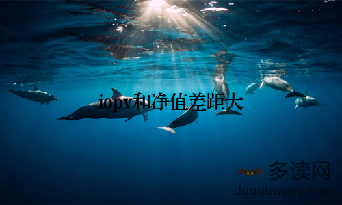 iopv和净值差距大