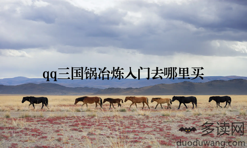 qq三国锅冶炼入门去哪里买