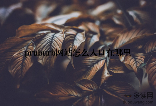 pruburb网站怎么入口在哪里