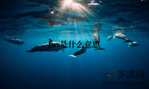 tws是什么意思