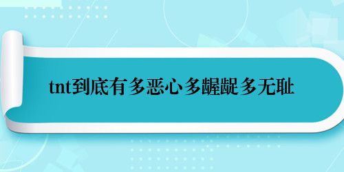 tnt到底有多恶心多龌龊多无耻