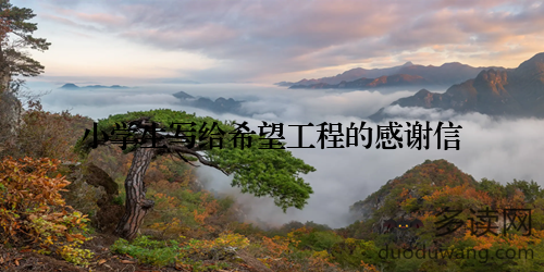 小学生写给希望工程的感谢信