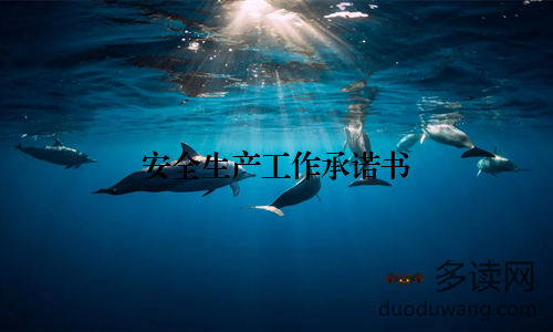 安全生产工作承诺书