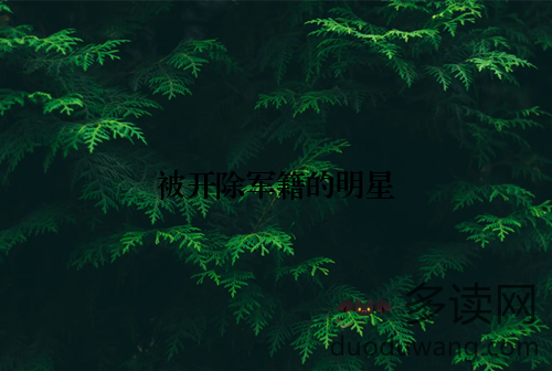 被开除军籍的明星