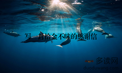 写一封拾金不昧的感谢信