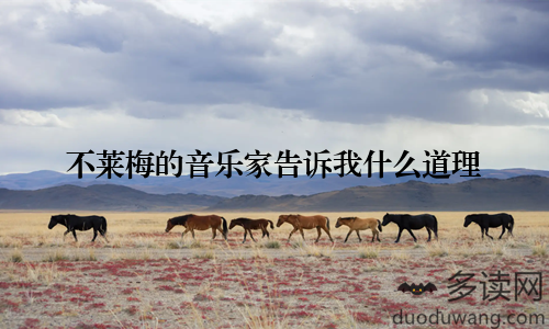 不莱梅的音乐家告诉我什么道理