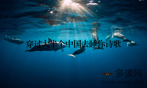 穿过大半个中国去睡你诗歌