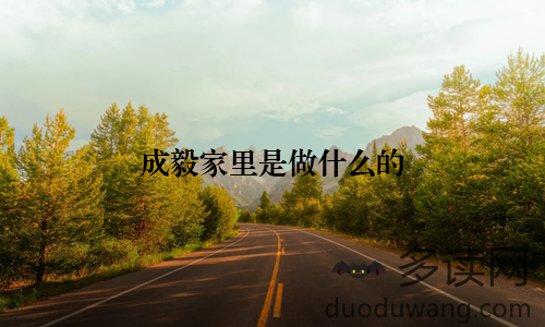 成毅家里是做什么的