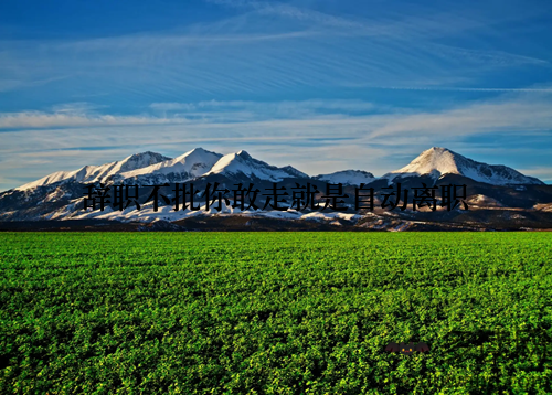 辞职不批你敢走就是自动离职