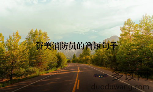 赞美消防员的简短句子