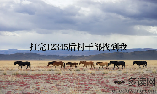 打完12345后村干部找到我