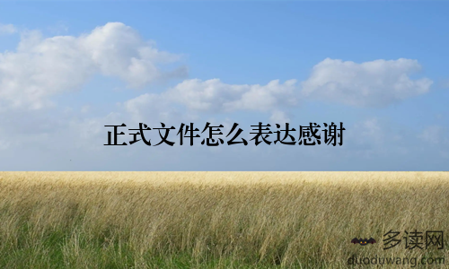 正式文件怎么表达感谢