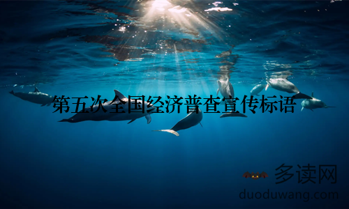 第五次全国经济普查宣传标语