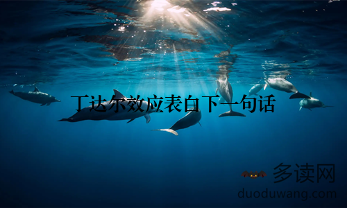 丁达尔效应表白下一句话