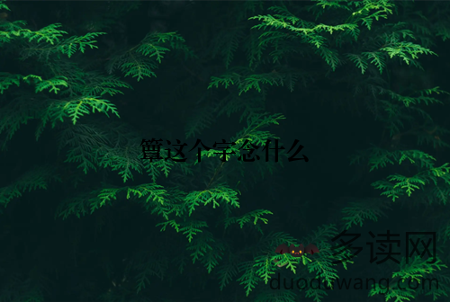 簟这个字念什么
