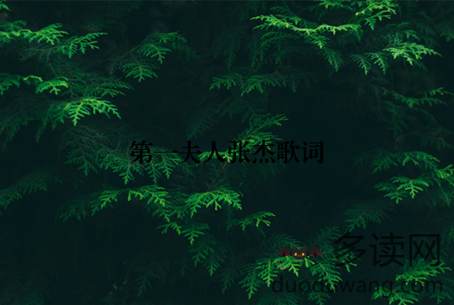 第一夫人张杰歌词