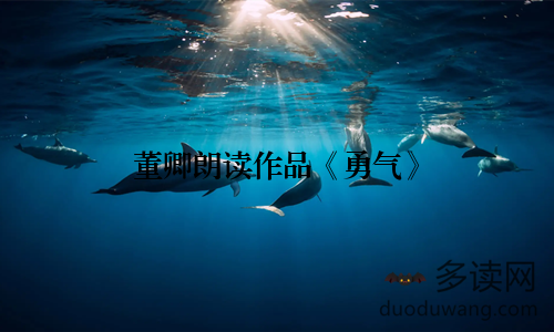 董卿朗读作品《勇气》